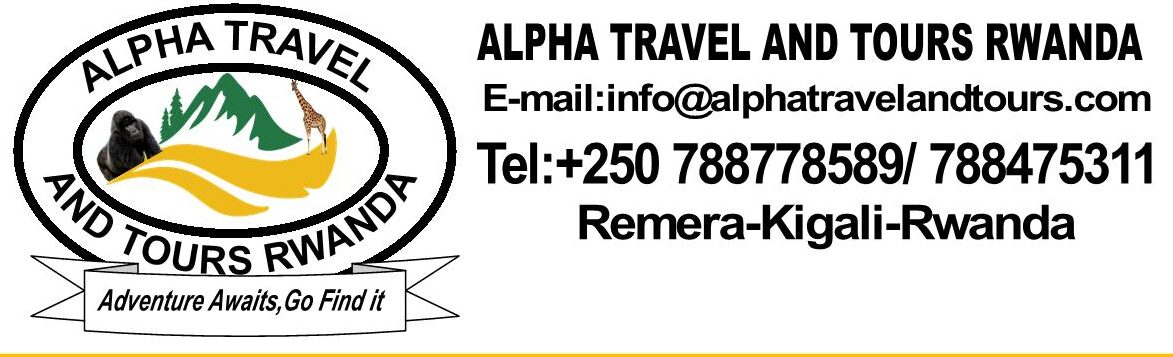 ALPHA TRAVEL AND TOURS